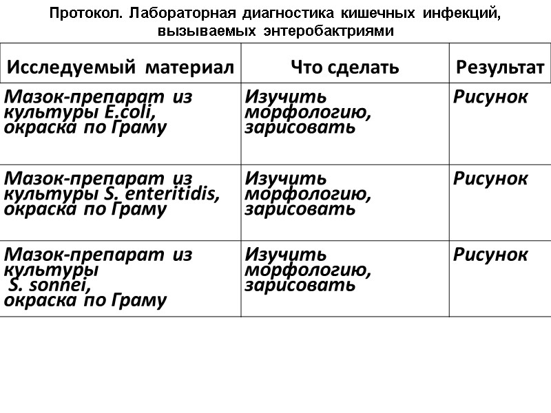 Протокол. Лабораторная диагностика кишечных инфекций, вызываемых энтеробактриями